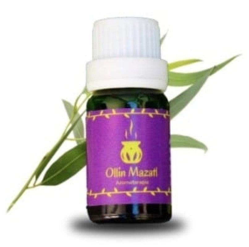 Aceite esencial de Eucalipto